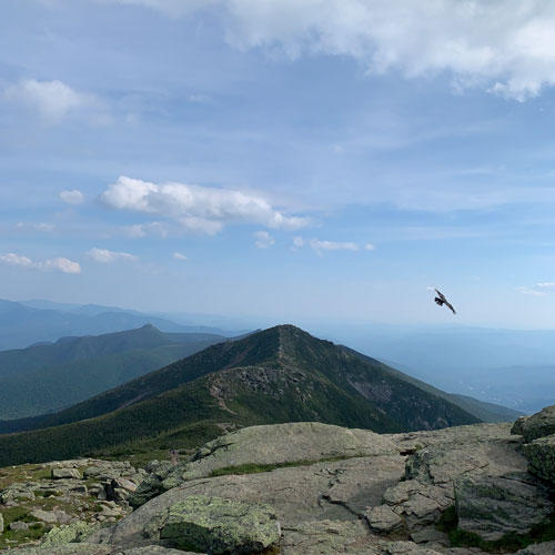 Mount Lafeyette Summit